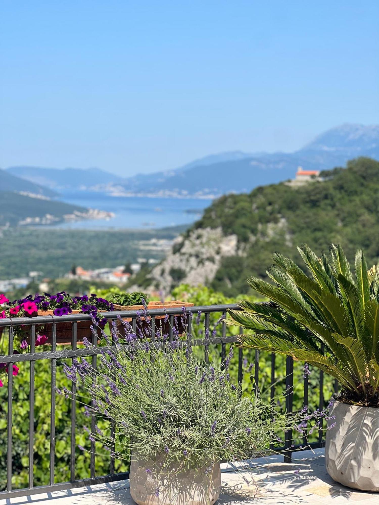 Villa Nikoleta Kotor Exterior photo